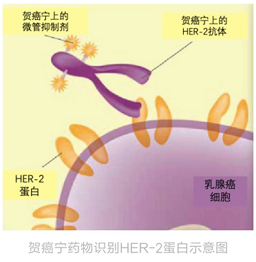 1567734971453290.png 微信圖片_20190904105739.png