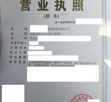 高清圖片與內(nèi)資公司注冊 流程、材料與注意事項詳解